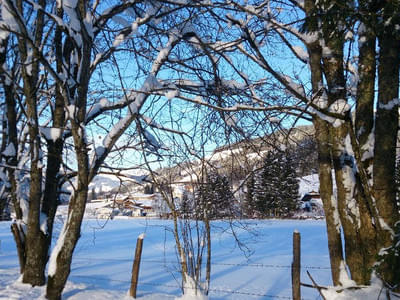 Winterbilder Bild 11