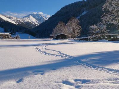 Winterbilder Bild 12