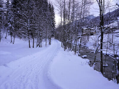 Winterbilder Bild 31