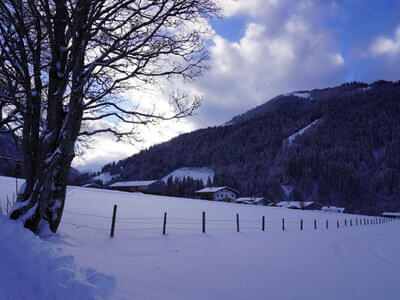 Winterbilder Bild 28